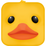 Zig Zag Duck