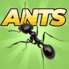 Pocket Ants: Colony Simulator