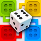 Ludo Party Dice Board Game