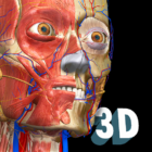 Anatomy Learning 3D Anatomy Atlas