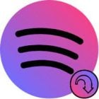 SpotiFlyer Downloader