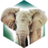 Ark Nova apk
